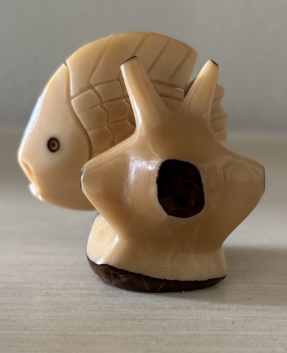 Tropical fish coral - coral, tagua