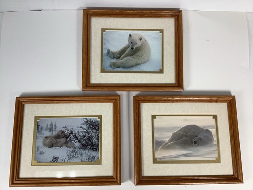 Thomas mangelsen framed polar - mangelsen,