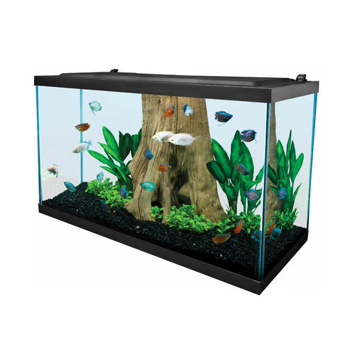 Tetra gallon glass led - gallon,