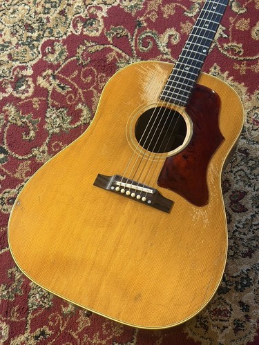 Gibson 1964 used acoustic - j-50,