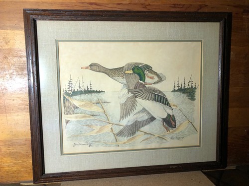 Gene murray duck flight - murray, "duck