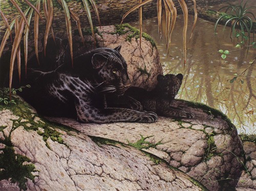 Guy coheleach black - black,