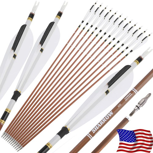12x sp340 600 pure - pure, carbon