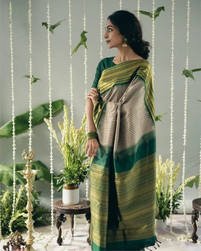 Sari indian pakistani wedding - pakistani,