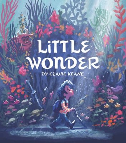 Little wonder hardcover - little,