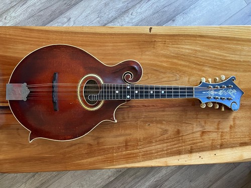 Gibson mandolin in - f-4,