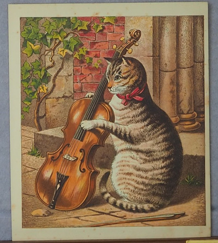 Cat playing violin antique - cat,
