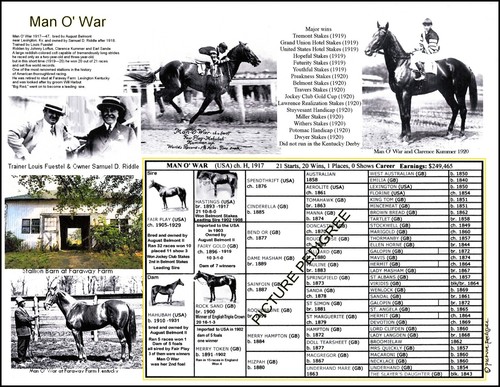 Famous race horse - man, war