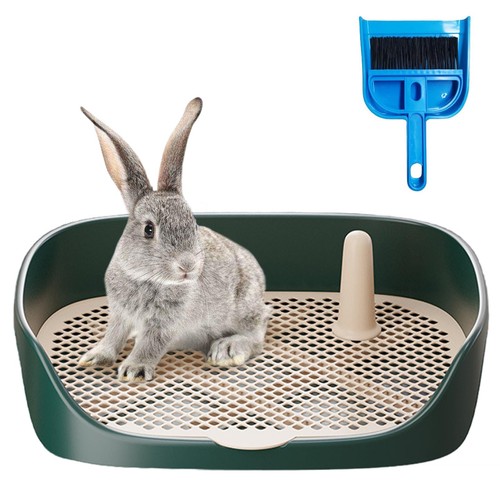 Rabbit litter box guinea pig - box,