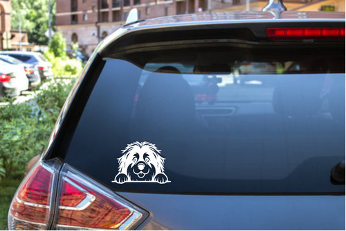 Custom tibetan mastiff - tibetan,