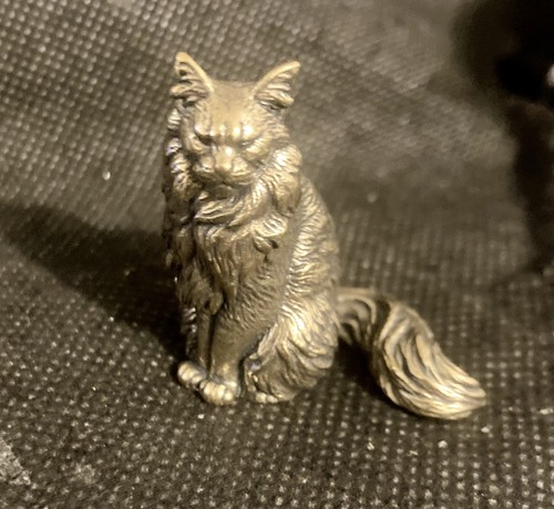 Maine coon cat brass - maine,