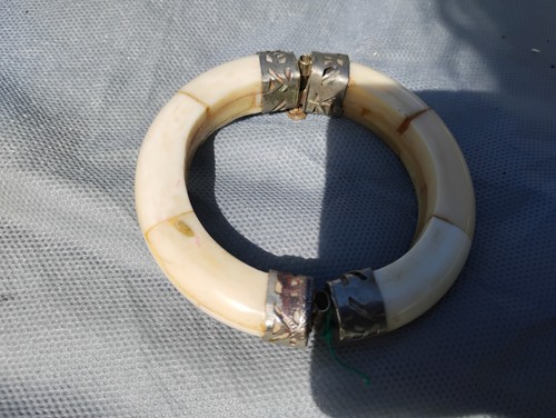 Antique bovine water buffalo - bovine,