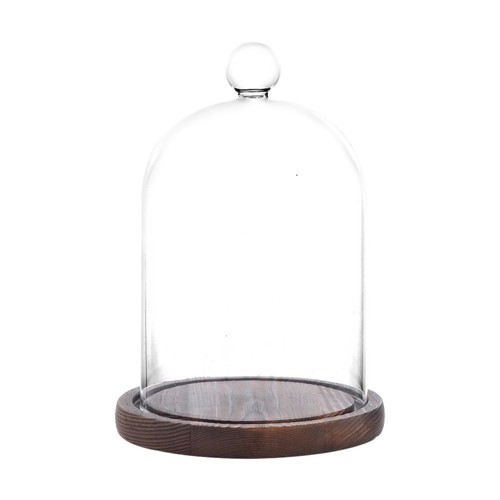Glass dome with base - glass,