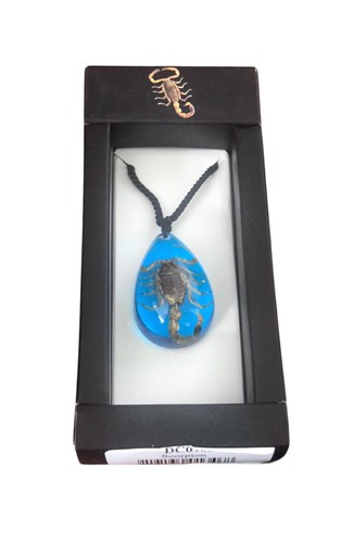 Necklace scorpion insect - necklace, -scorpion