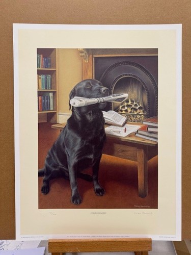 Nigel hemming evening - -,