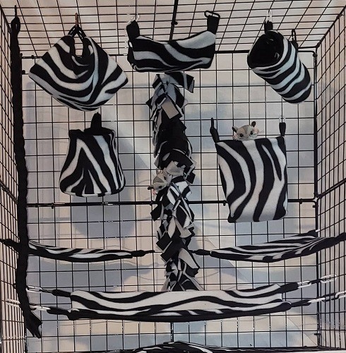 Gray zebra sugar glider cage - zebra*sugar,