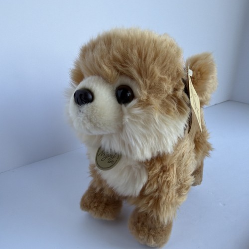 Miyoni aurora pomeranian puppy - aurora,