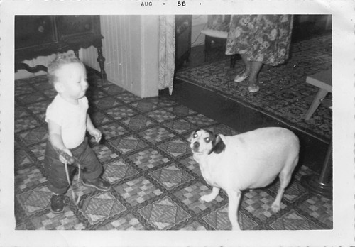 1958 young boy chubby dog - 1958,