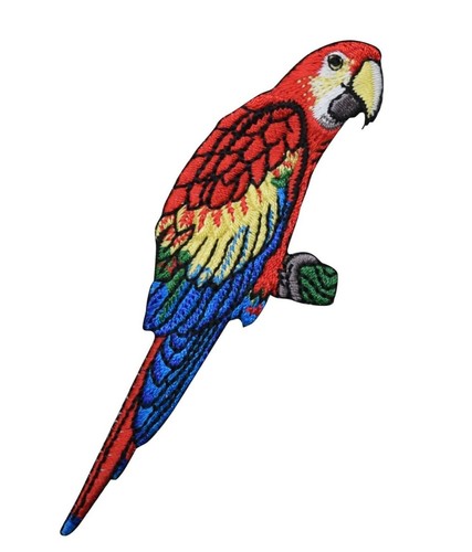 Scarlet macaw parrot - parrot,
