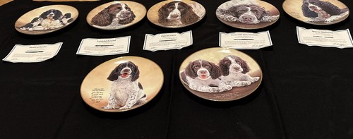 Lot danbury mint - lot,