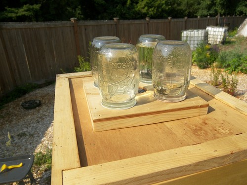 Top beehive feeder easy - beehive,