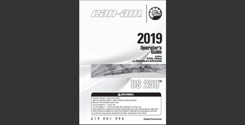 2019 can 250 atv - 2019,