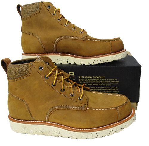 Irish setter red wing - by, fifty