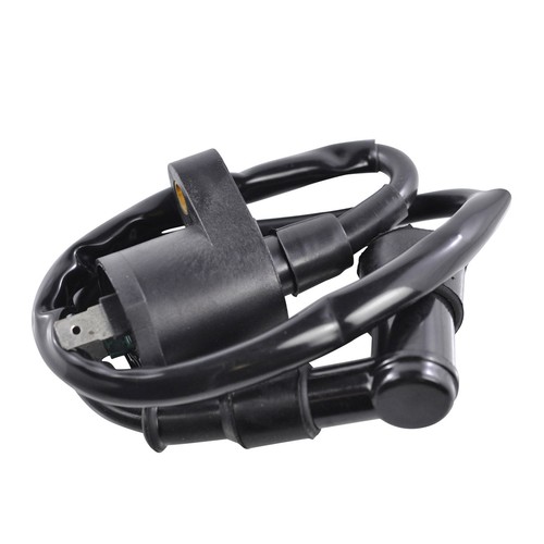 Rmstator ignition coil for - rmstator,