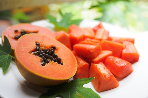 Papaya melon fruit tree - papaya,