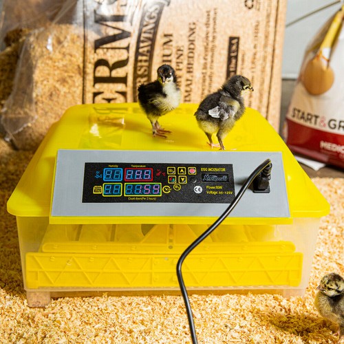 Egg automatic incubator - 48,