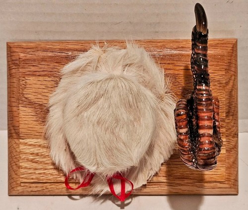 Real wild turkey foot flipping - wild,