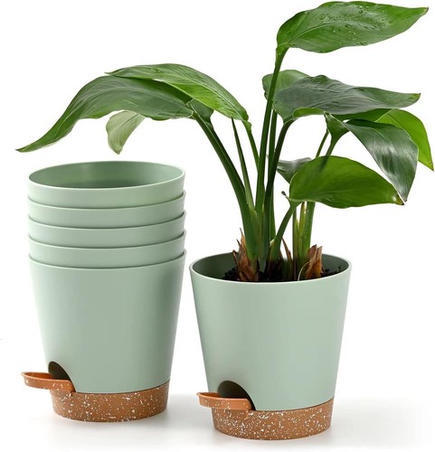 Pack inch self watering - pack,