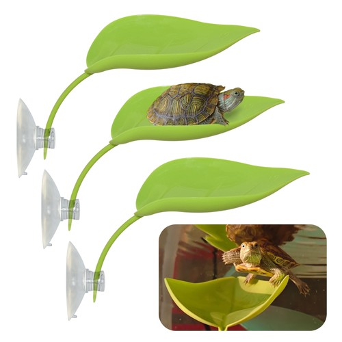 Tree frog terrarium - tree,