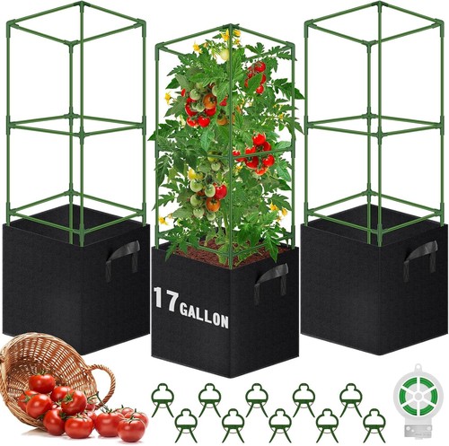 New pack square - new, tomato