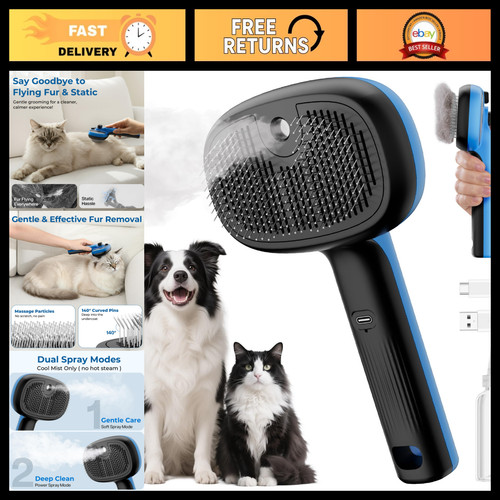 Self cleaning steam - self-cleaning,