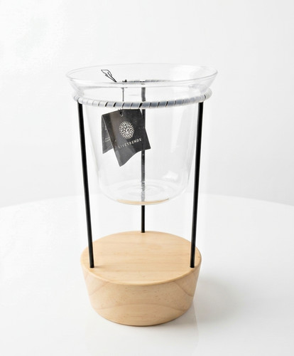 Livetrends glass planter - 5",