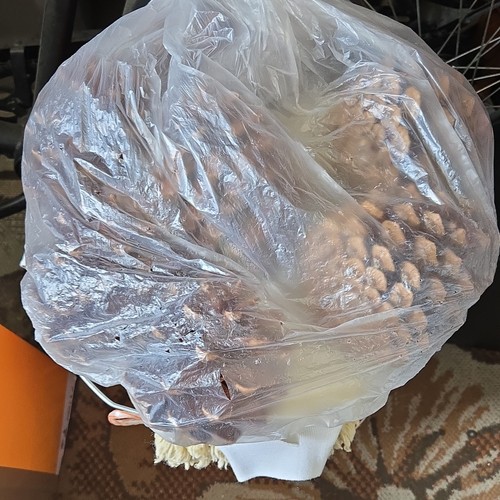 Natural pine cones craft decor - pine,