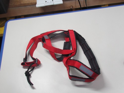 Red dog weight - weight, pulling