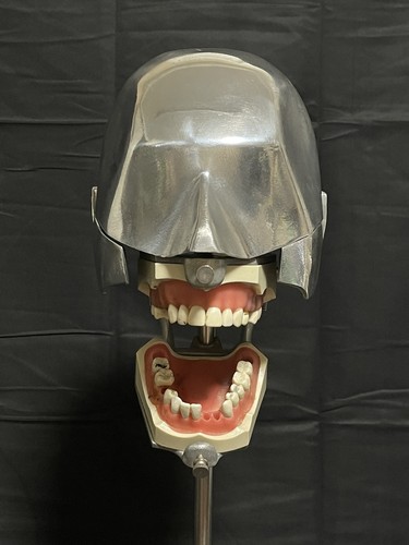 Dental phantom oddities skull - dental,