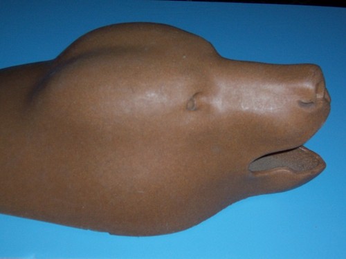 Bear rugshell taxidermy - rugshell,