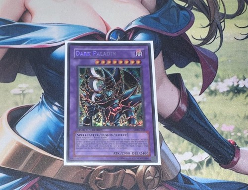 Dark paladin dmg - dmg-001, duel