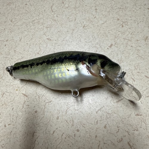 Bagley diving small fry - diving,