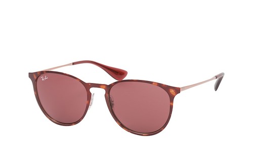 Ray ban erika metal - erika, rb3539