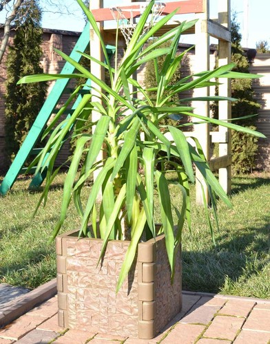 Mold fence pillar column - fence, &