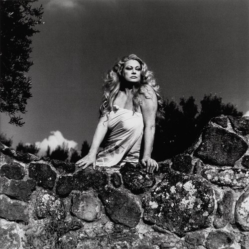 Vtg helmut newton photo - vtg,