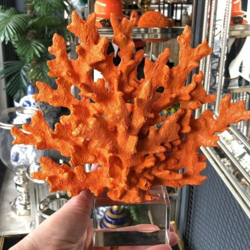 Coral sculpture handmade - sculpture,