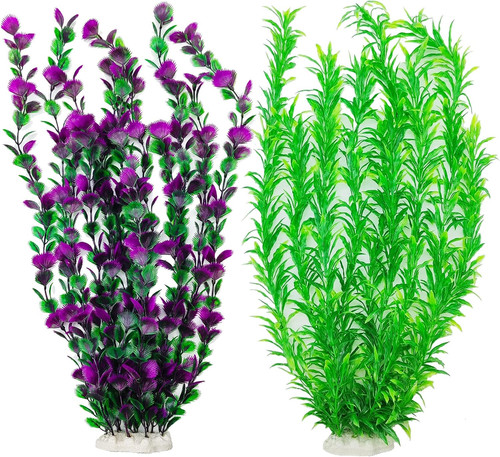 Inch tall aquarium - inch,