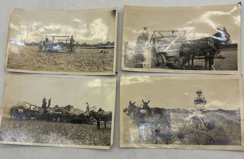 Lot antique farming photos - farming,
