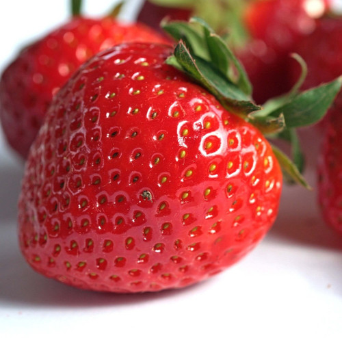 Seascape strawberry bare root - bare,