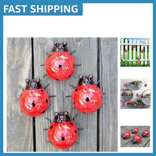 Cute red ladybug outdoor - cute,